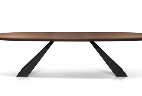 The table  "ZED"